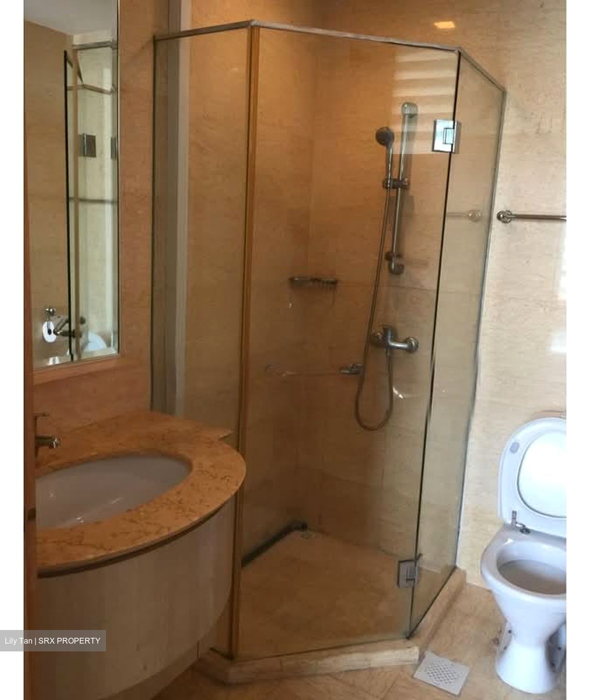 Parc Haven (D12), Apartment #593083511